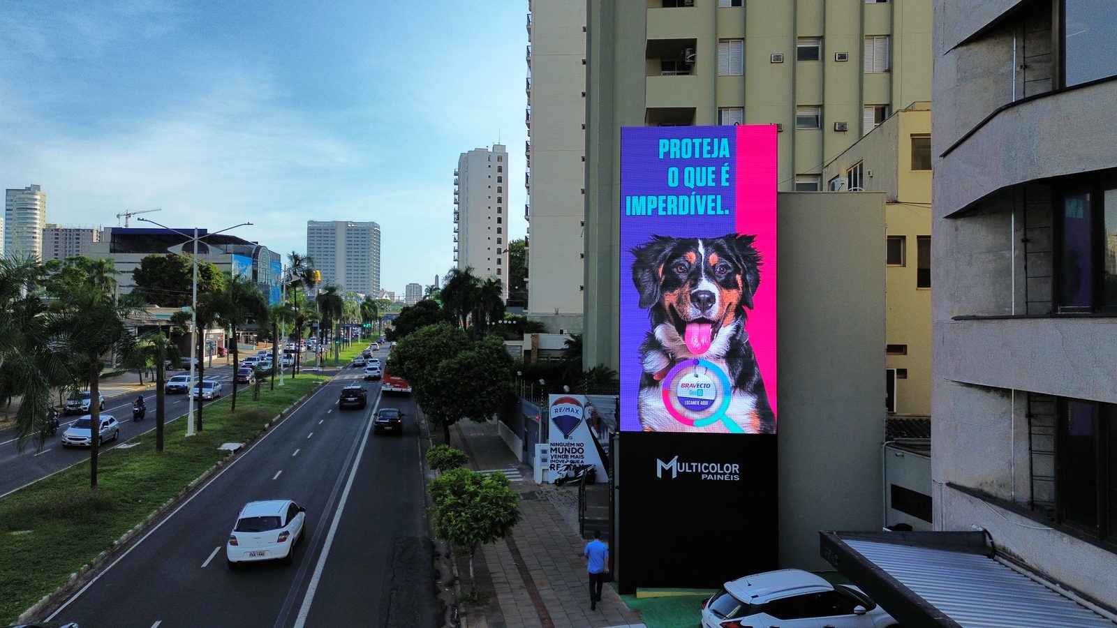 Mega Painel digital Av. Alberto Andaló com campanha do Bravecto